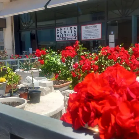 Appartement Antica Puglia 2